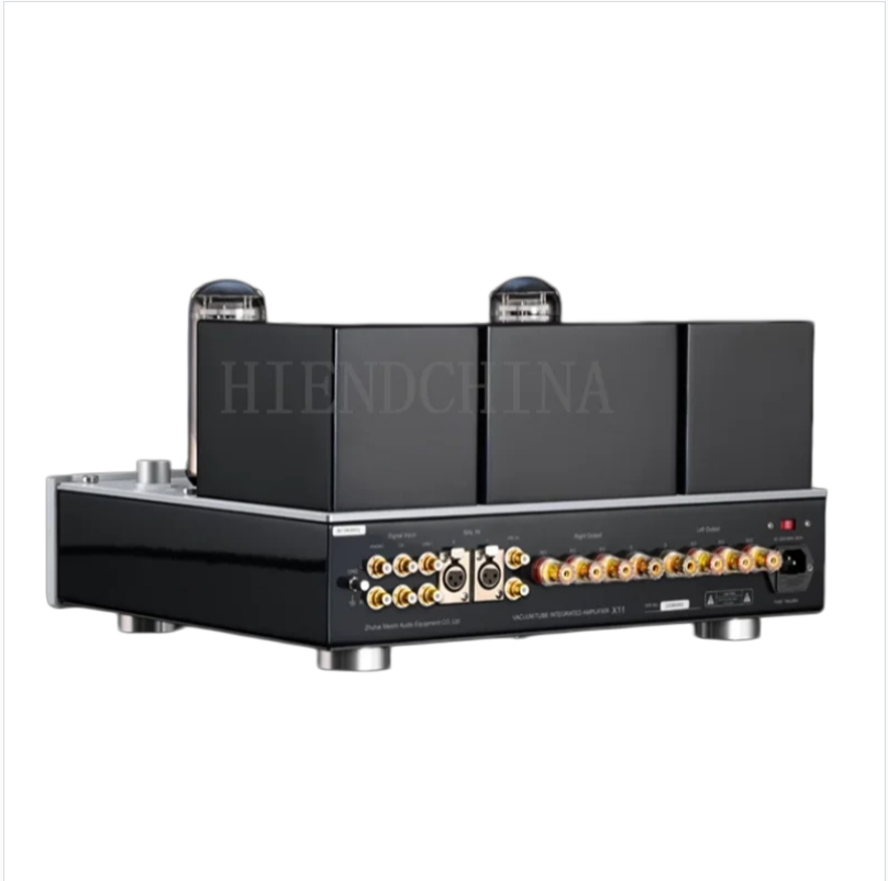 Class A Tube Amplifier 845 - MUZISHARE X11 6L6 푸시 845 클래스