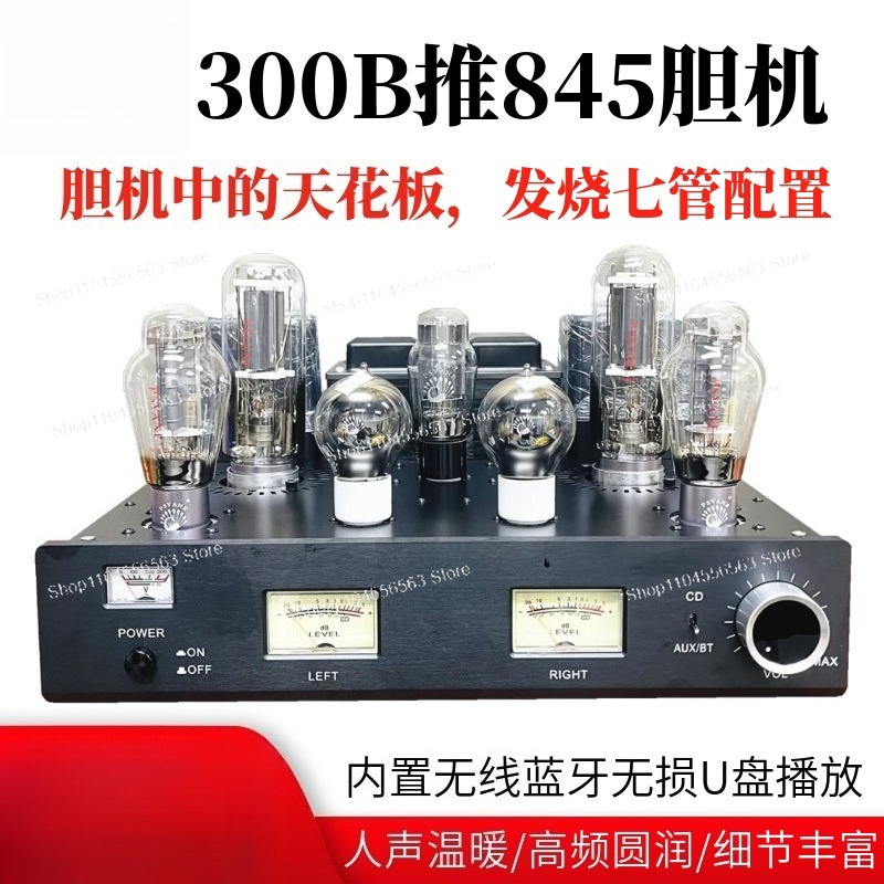 300B 진공관 앰프, 845 진공관을 사용한 싱글 엔 - Class A Tube Amplifier 845 리뷰 및 가격