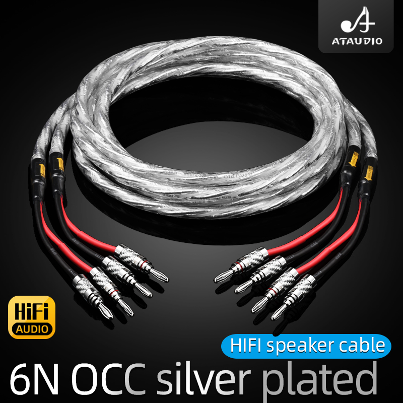 6N OCC 은도금 하이파이 스피커 케이블 HI-FI  - Tube Headphone Amplifier Otl 리뷰 및 가격