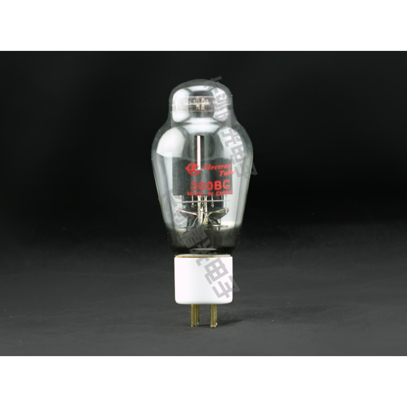 Shuguang 300BC 진공관은 300BA 300B - 300B Vacuum Tube Matched Pair 리뷰 및 가격