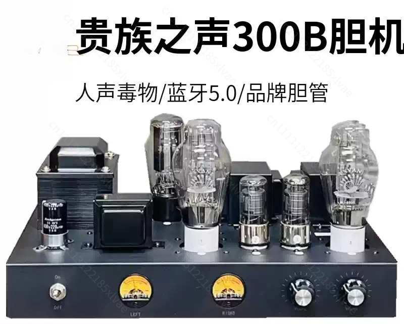 300B 진공관 앰프, 싱글 엔드 클래스 A 방식, 완 - Tube Amplifier 300B Single Ended 리뷰 및 가격
