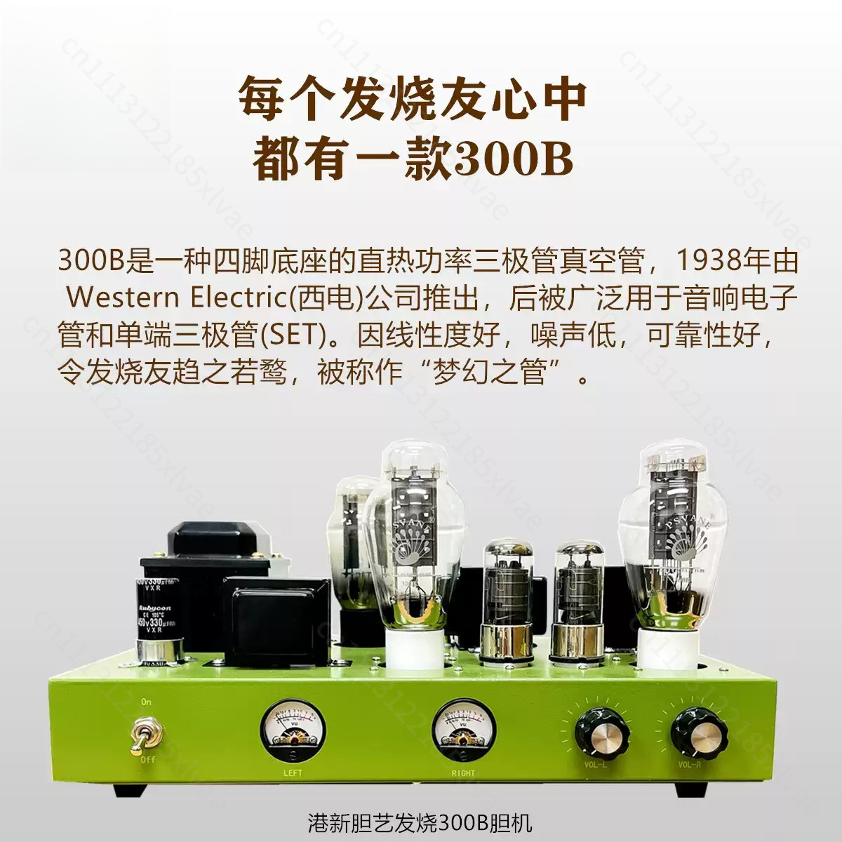 300B 진공관 앰프, 싱글 엔드 클래스 A 방식, 완 - Tube Amplifier 300B Single Ended 리뷰 및 가격