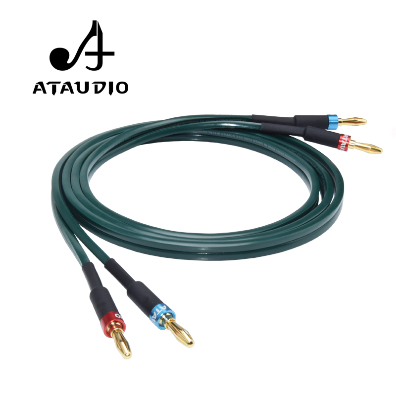 ATAUDIO 원피스 하이파이 스피커 케이블 (바나나  - Tube Headphone Amplifier Otl 리뷰 및 가격