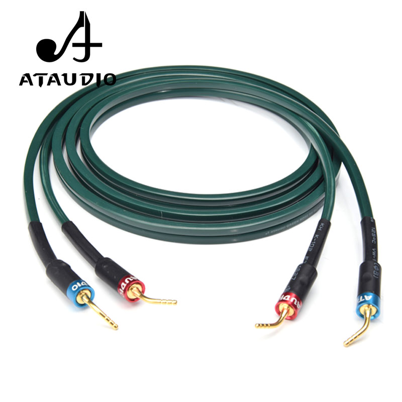 ATAUDIO 원피스 하이파이 스피커 케이블 (바나나  - Tube Headphone Amplifier Otl 리뷰 및 가격