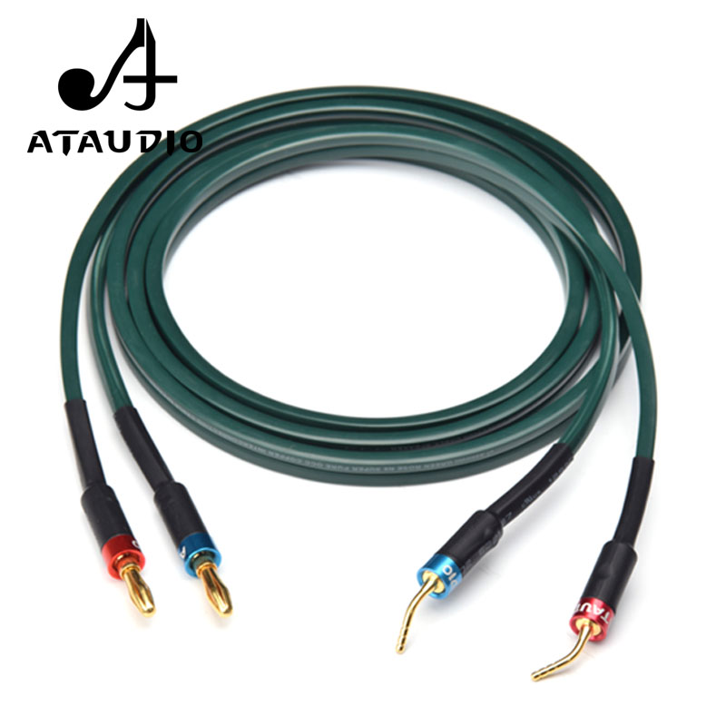 ATAUDIO 원피스 하이파이 스피커 케이블 (바나나  - Tube Headphone Amplifier Otl 리뷰 및 가격