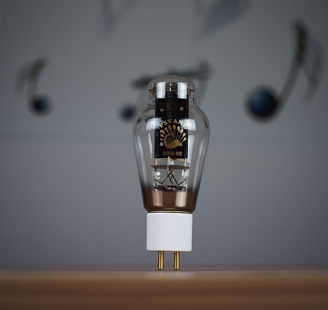 T-008 PSVANE HiFi 300B-SEN 300 - 300B Vacuum Tube Matched Pair 리뷰 및 가격